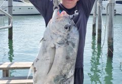 Jorge Millares caught this 27 lb. African pompano on a live pilchard.