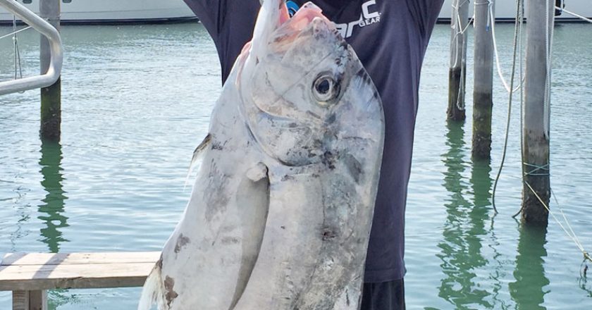 Jorge Millares caught this 27 lb. African pompano on a live pilchard.