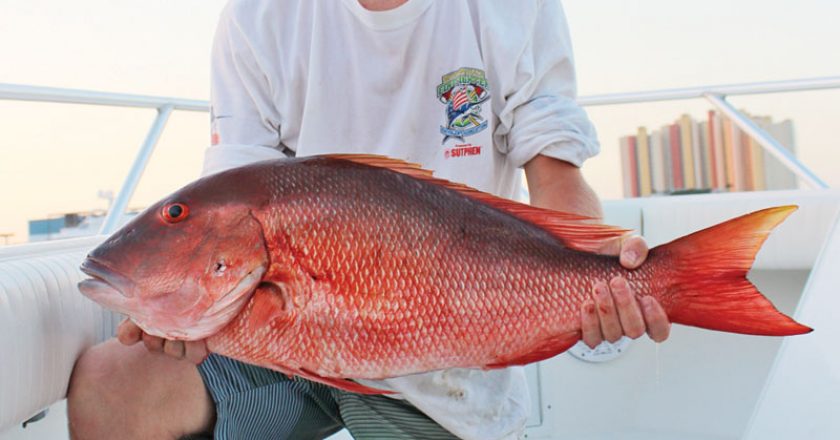 Ron O’Brien with his fat mutton snapper.