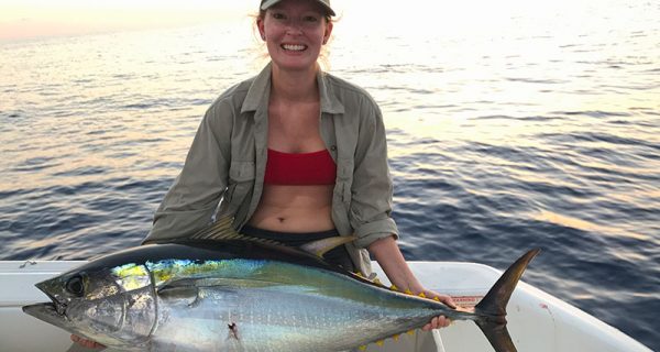 yellowfin tuna