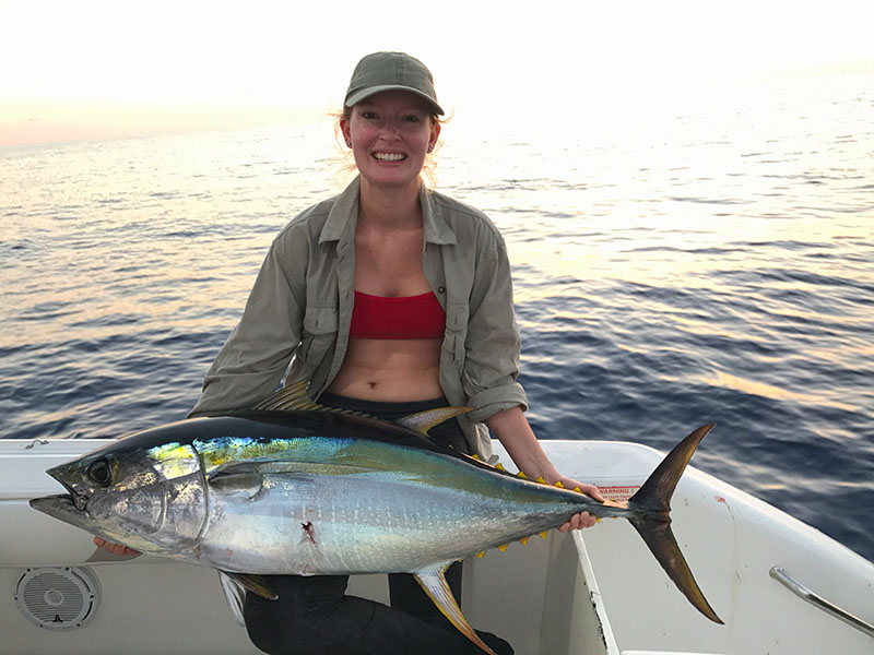 yellowfin tuna