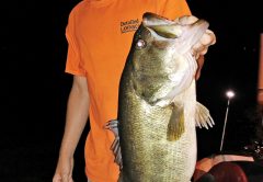Will Nelson with a huge Deerpoint bass he recently caught.