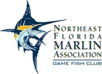 Blue Marlin - Florida Sportsman