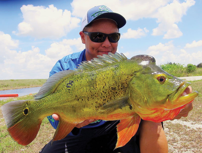 Hai Truong with a butterfly peacock bass.