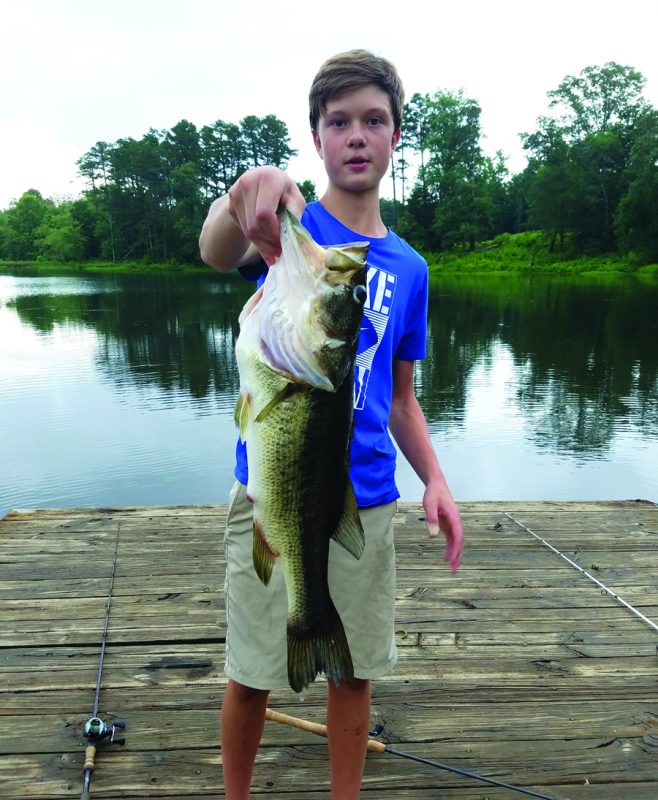 Pond Fishing With BIG Bluegill SwimBait!!