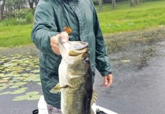 Another Jackson trophy caught during a thunderstorm with clients.