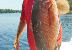 Capt. Jason with a nice black snapper.
