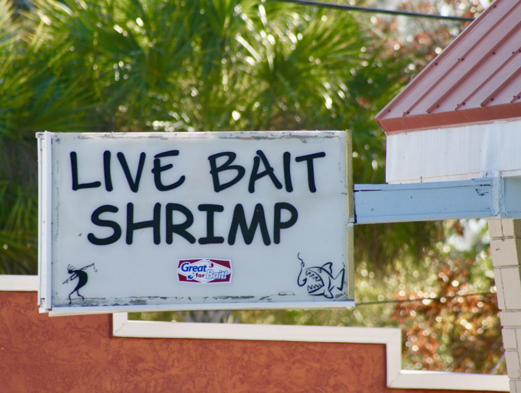 Bait and Tackle Shops Coastal Angler & The Angler Magazine