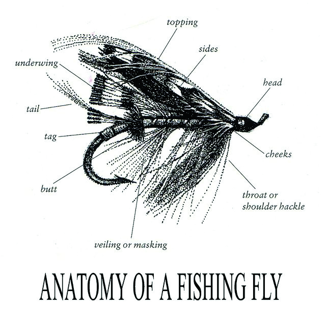 Fly Tying - Coastal Angler & The Angler Magazine