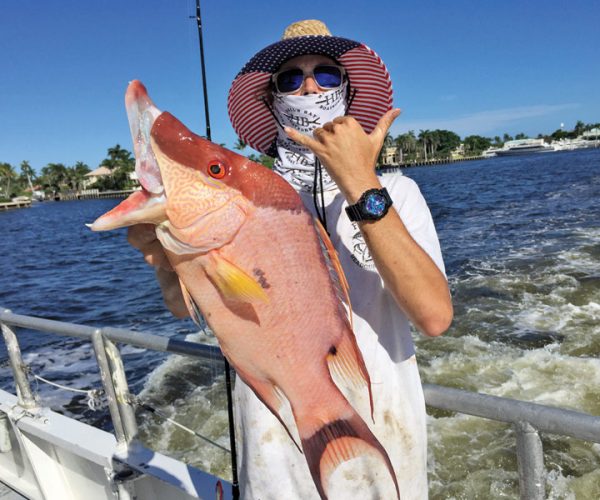 Big hogfish caught aboard Catch My Drift.