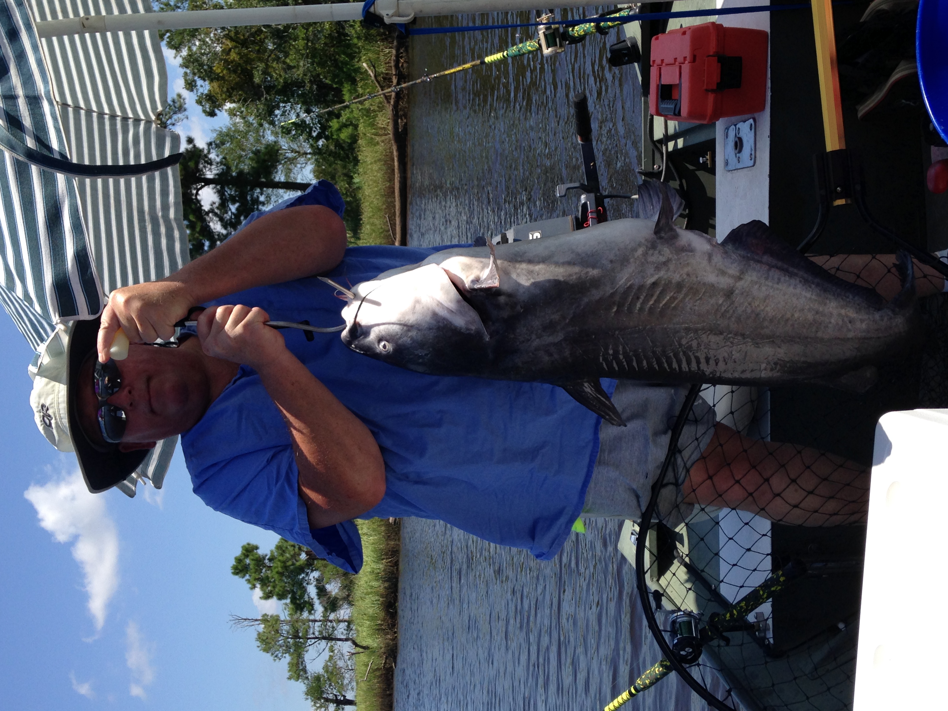 capefear river catfish wilmington nc Coastal Angler & The Angler Magazine