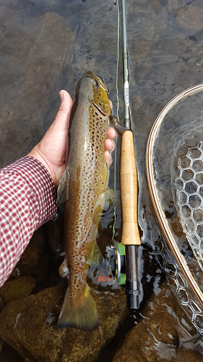 Fall Fly Fishing Smallmouth Bass: Escape from the Office