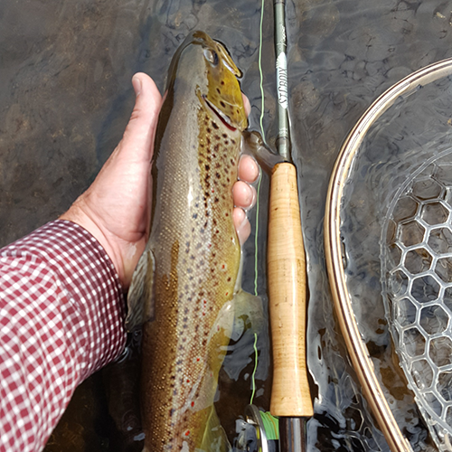 Canada's 11 all-time top lures for brookies, browns, cutthroats