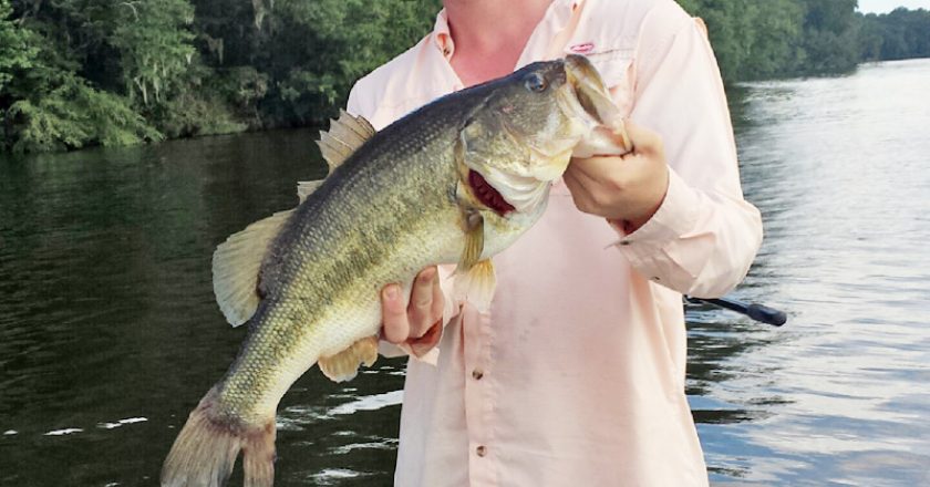Matt Millholin from Atlanta, GA with a 7 lb. Talquin bass fishing with JR and Fishtallahassee Guide Service.