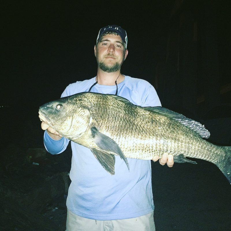 William hawley got this monster 26.4# | Coastal Angler & The Angler ...