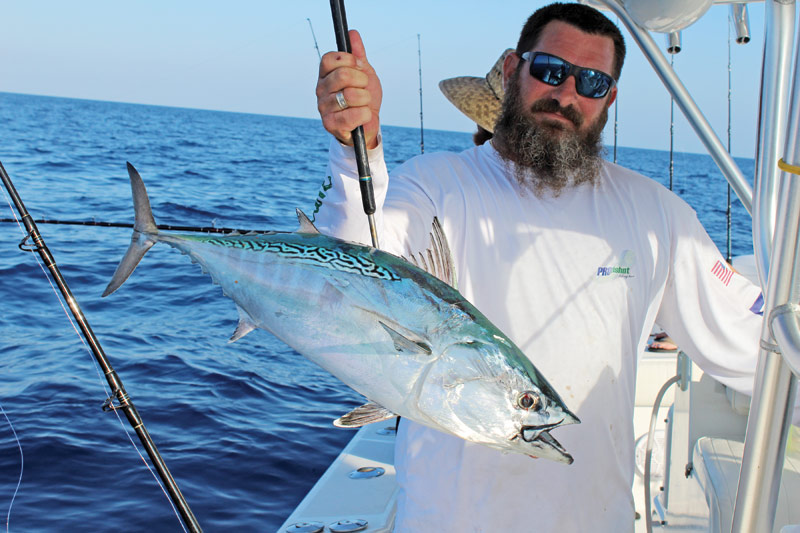 Shawn McCarty beat up on this bonito after it ate his live sardine.