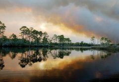 The beauty of Florida's Forgotten Coast.