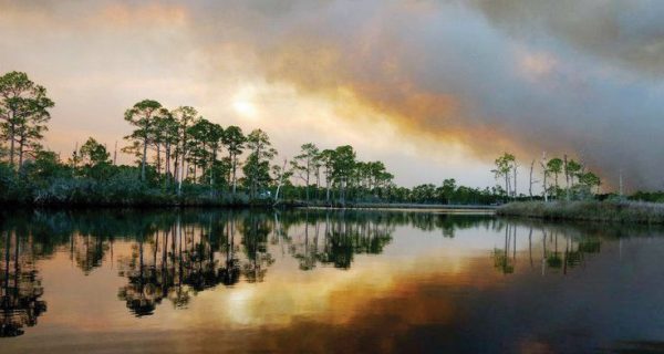 The beauty of Florida's Forgotten Coast.