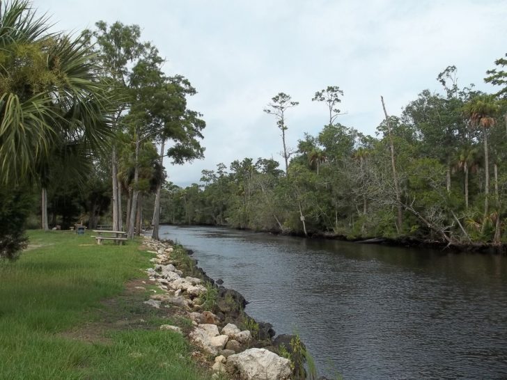 Florida Waterways Waccasassa River Coastal Angler & The Angler Magazine
