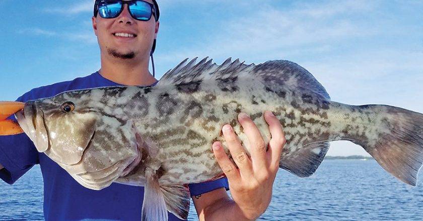 Andrew Messer pulled this beauty out of St. Andrew Bay while fishing with Capt. Jason.