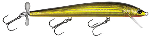 Bagley  Spintail 05