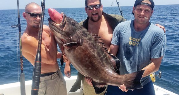 Capt Brett and Clay of Fishing Headquarters with a monster black grouper caught deep dropping over a wreck.
