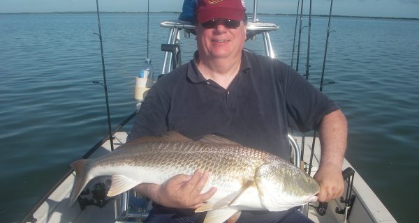 Ed caught a personal best redfish recently with Capt. Mark Wright. He plucked this breeder out of a group of fifty fish as they actively fed on schooling mullet!