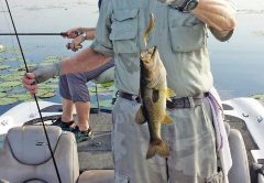 Haulin in the bass with Fishtallahassee.com.