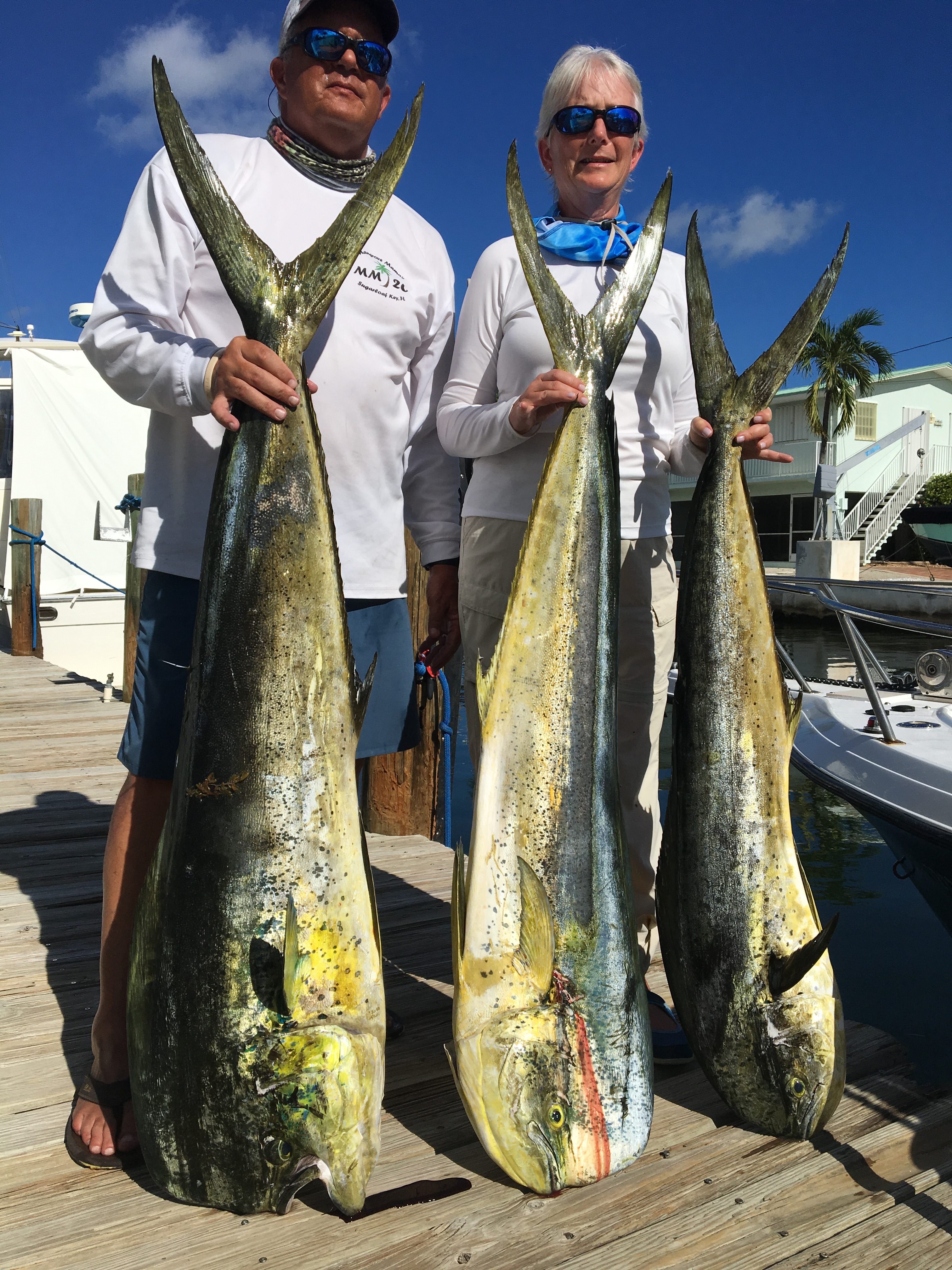 Monster MahiMahi! – Coastal Angler & The Angler Magazine