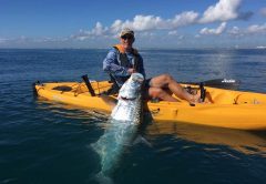Mark Phillips got this stud beach tarpon with localLinesChartters.com