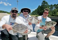 The Peevy clan haulin triggerfish.