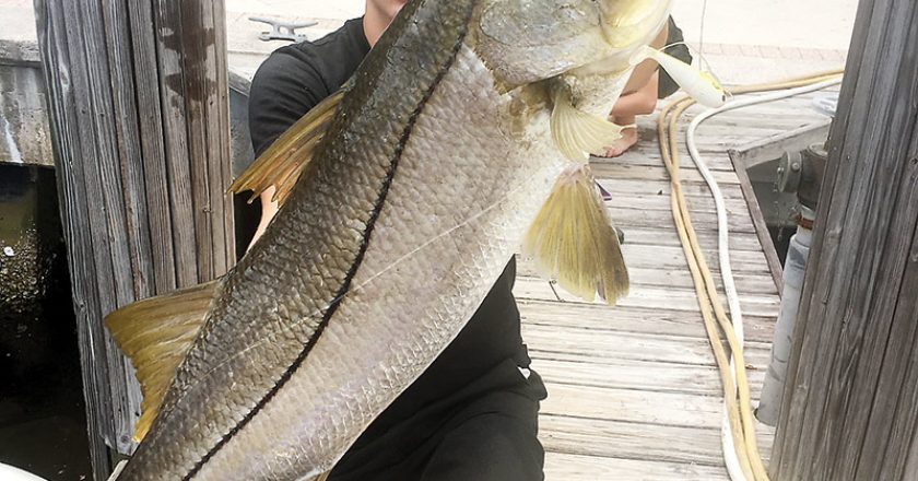 Nate caught this monster snook in Lake Boca.