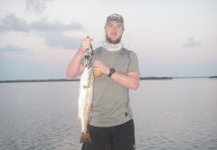 This redfish eats a Z-Man Diezel Minnowz then gets invited home for dinner!