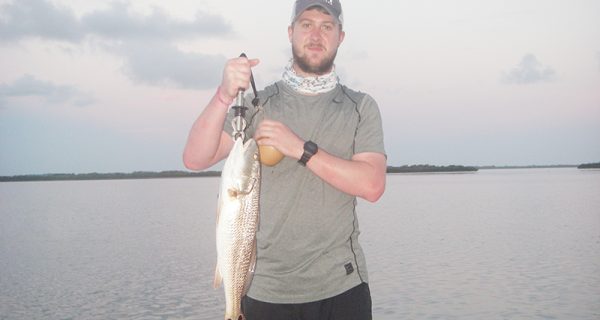 This redfish eats a Z-Man Diezel Minnowz then gets invited home for dinner!