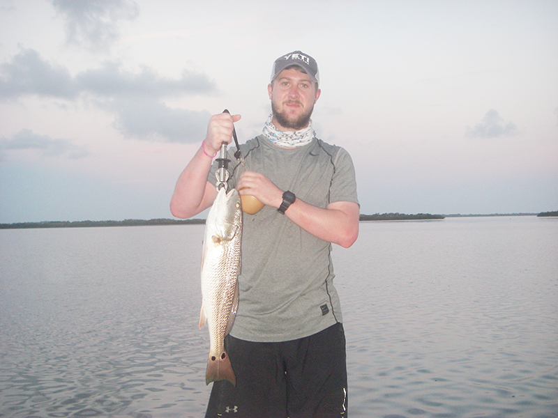 This redfish eats a Z-Man Diezel Minnowz then gets invited home for dinner! 