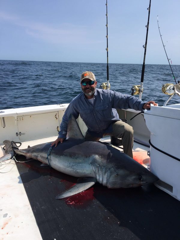 Boston Fishing Charters, Tuna, Shark