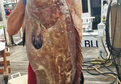Mick with a huge black grouper.