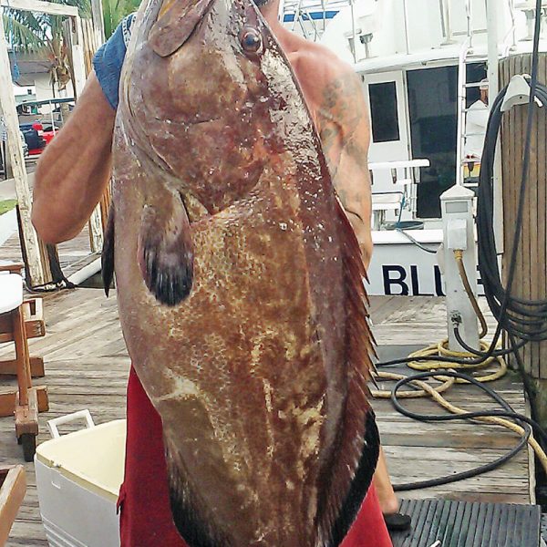 Mick with a huge black grouper.