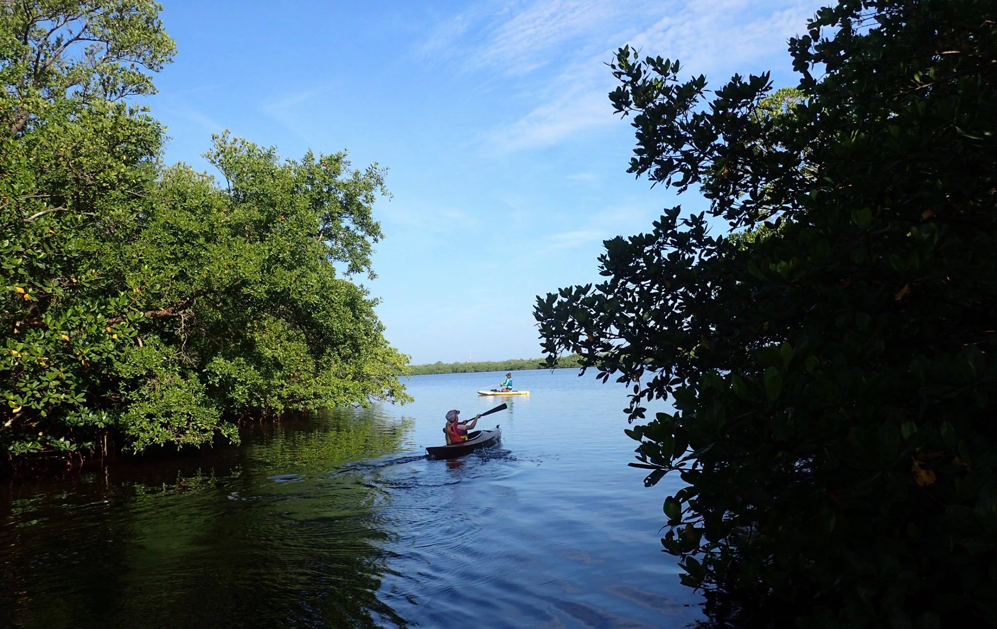 Paddling Ding Darling - Coastal Angler & The Angler Magazine