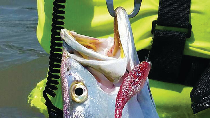 Tackle Corner: Getting a Fresh Handle on Spinning Rods - Coastal Angler &  The Angler Magazine