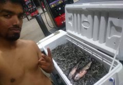 Remy Sheikh from Indian River Estates threw down a limit in Palatka, Florida
