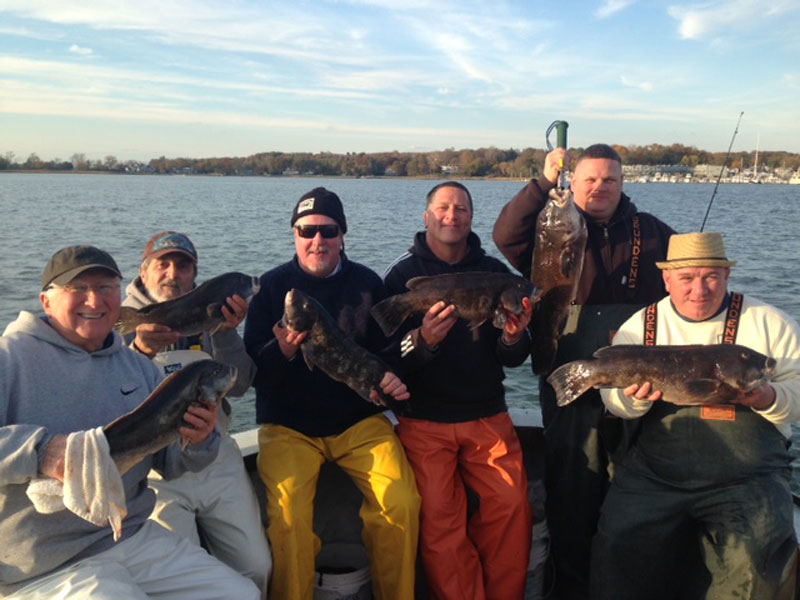 How To Target Tautog & Catch Blackfish Using Jigs