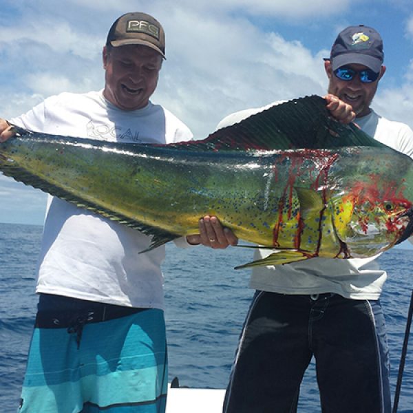 Waylon Cattee from Merritt Island. 53 lb. Mahi Mahi caught a couple miles offshore from Port Canaveral