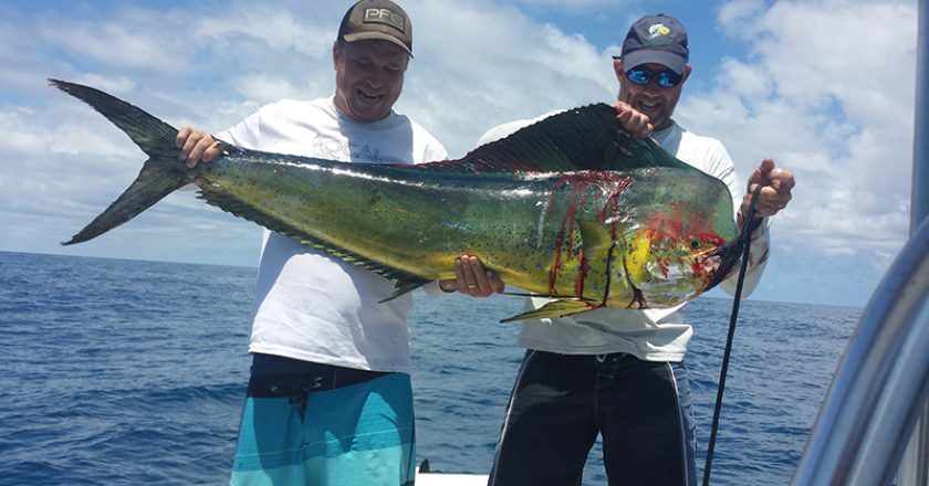 Waylon Cattee from Merritt Island. 53 lb. Mahi Mahi caught a couple miles offshore from Port Canaveral