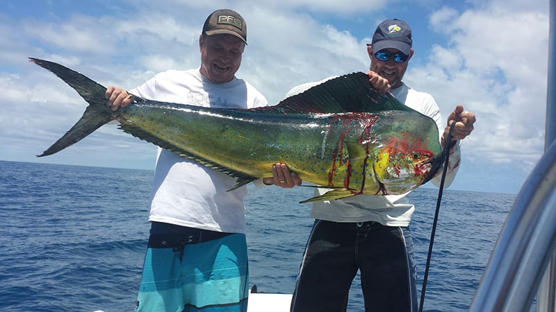 Waylon Cattee from Merritt Island. 53 lb. Mahi Mahi caught a couple miles  offshore from Port Canaveral - Coastal Angler & The Angler Magazine
