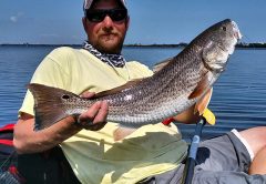Captain William Hawley with a gorgeous 26 inch slot red caught on live shrimp near Grant