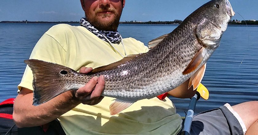 Captain William Hawley with a gorgeous 26 inch slot red caught on live shrimp near Grant