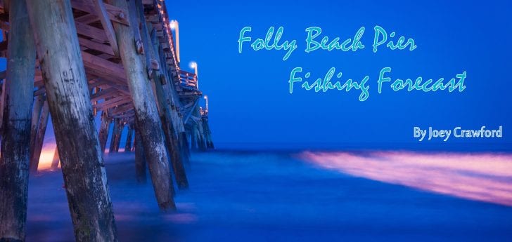 Folly Beach Pier MAY Fishing Forecast - Coastal Angler & The