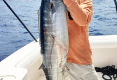 Capt Sharkey caught this 58 lb. wahoo off Fort Lauderdale.