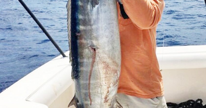 Capt Sharkey caught this 58 lb. wahoo off Fort Lauderdale.